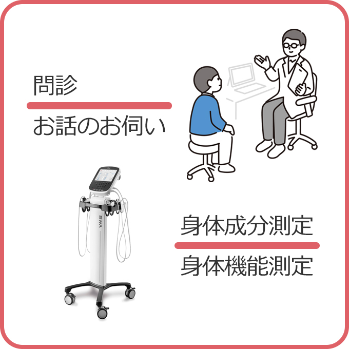 問診、お話のお伺い、身体成分測定、身体機能測定